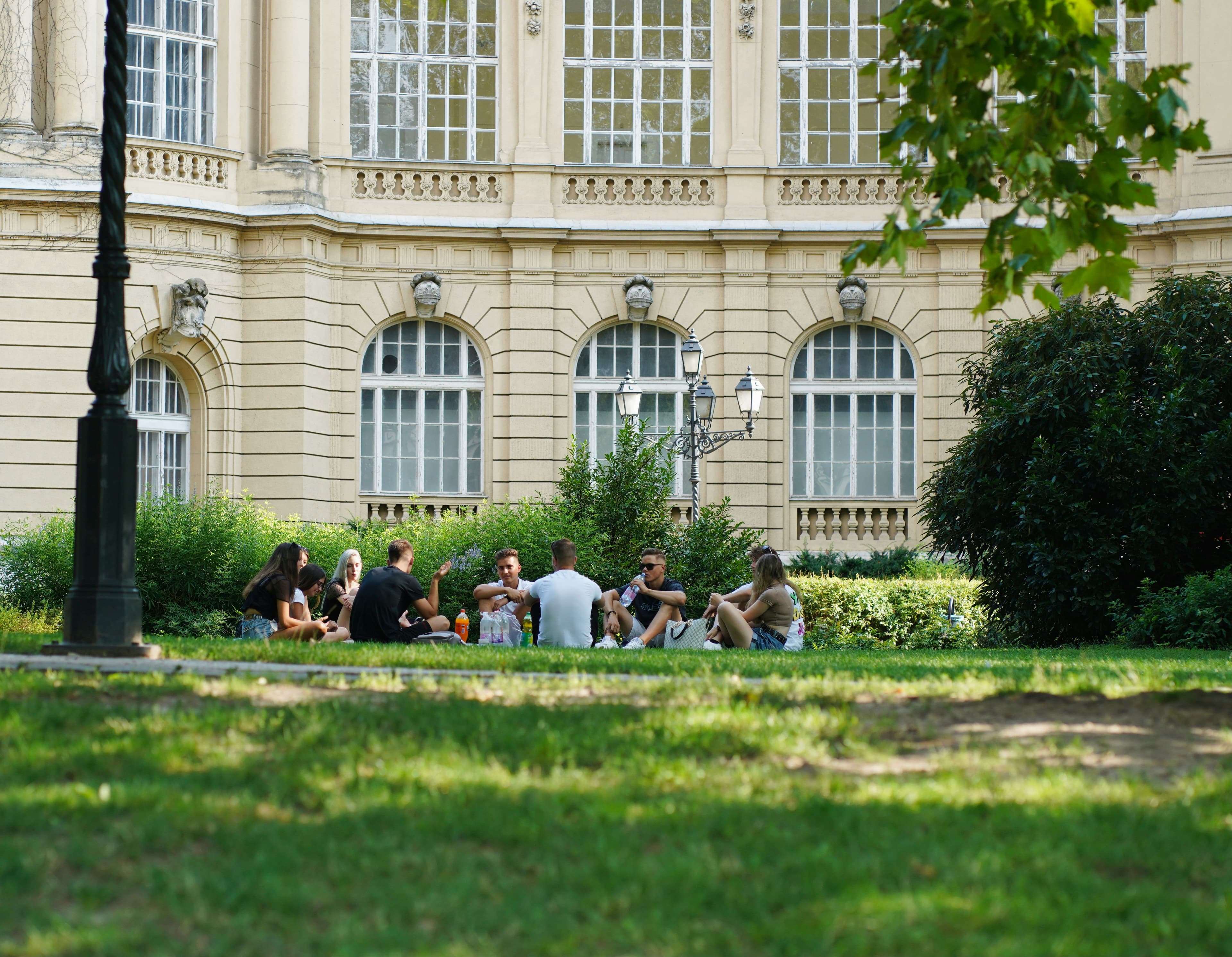 Study abroad consultation